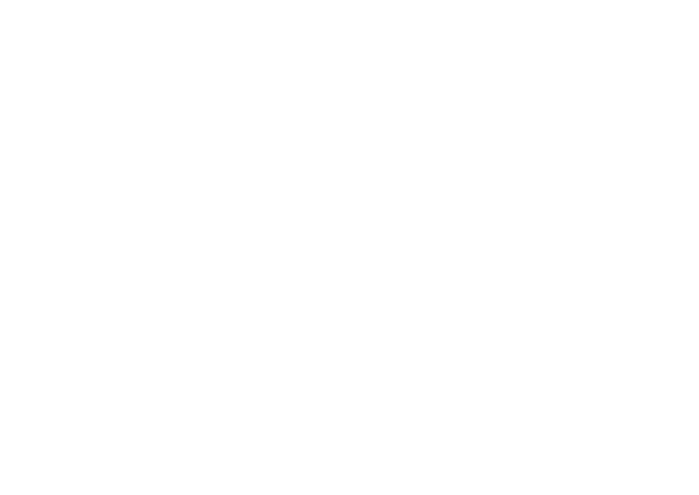PTV Telecom Logo